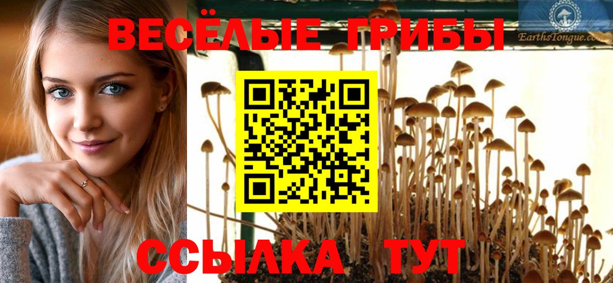 где купить наркотик  Псилоцибиновые грибы GOLDEN TEACHER  Вход с VPN  Гуково 