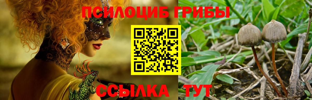 Галлюциногенные грибы MAGIC MUSHROOMS Гуково